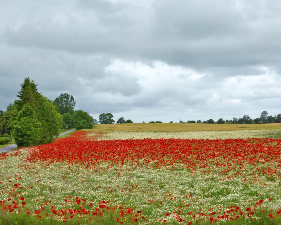 Ferienwohnungen Am Waldessaum Bodstedt Buitenkant foto